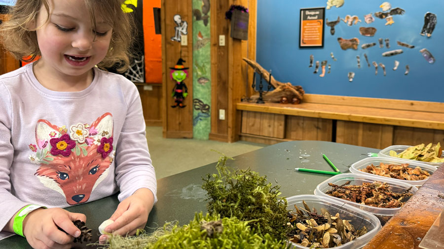child making a craft at the Cheney center at Northwest Trek, an indoor activity on a rainy day