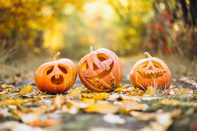 Spooky Walk at Snoqualmie Valley Art Center