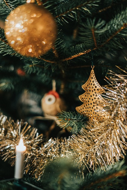 Renton History Museum Tree Lighting