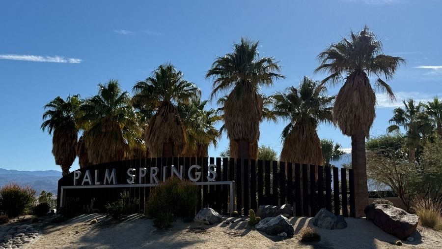 palm springs sign against many palm trees